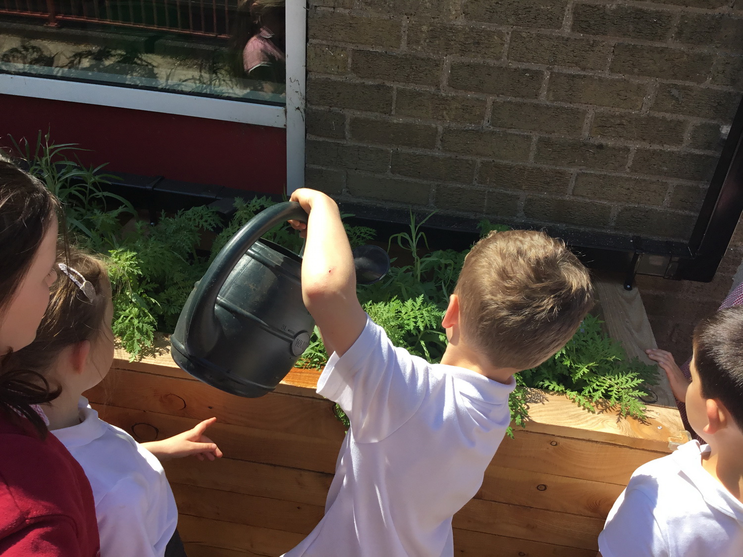 Pupils looking after one of the rain garden planters